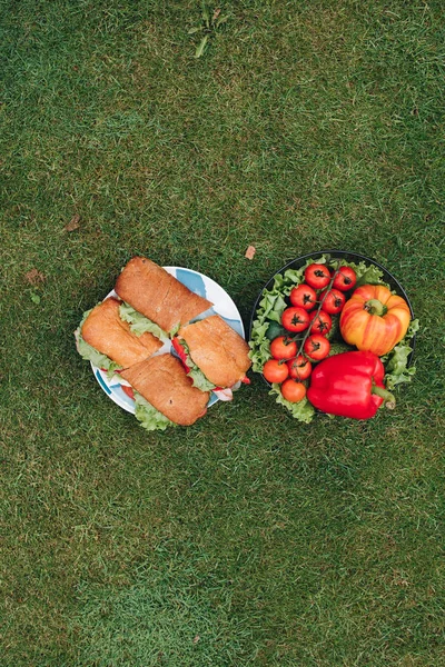 Аппетитные свежие органические овощи и вкусный сэндвич на тарелке в окружении зеленой травы луга — стоковое фото