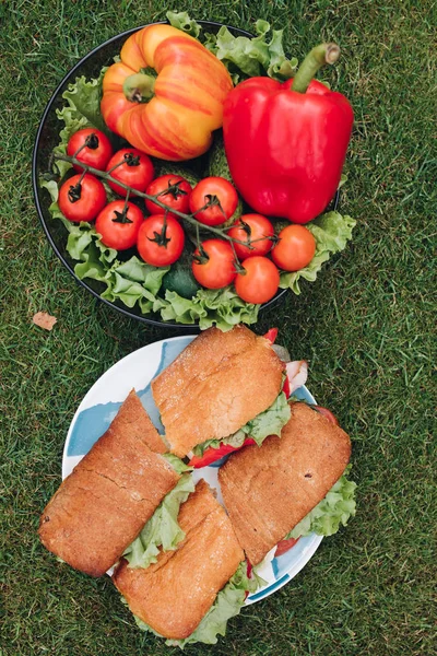 Légume bio frais appétissant et sandwich savoureux dans une assiette entourée d'herbe verte prairie — Photo