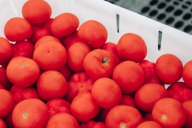 Sepette taze olgun domates.