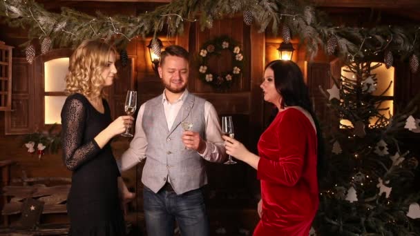 Ritratto natalizio di una famiglia e una ragazza . — Video Stock