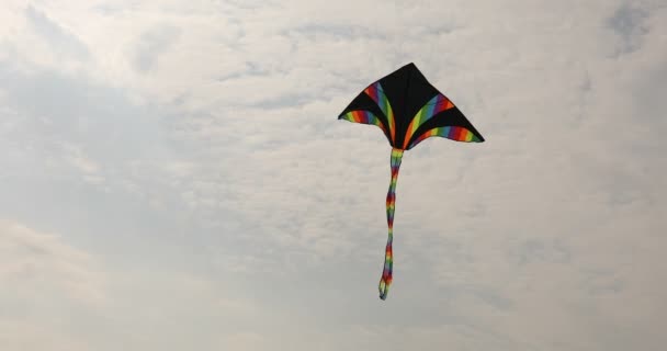 Colored kite flying over cloudy sky. — Stock Video