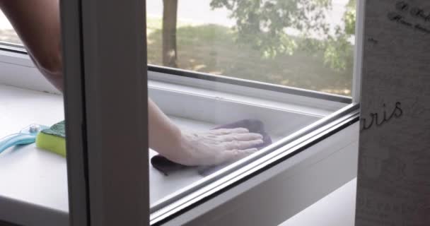 Professional worker cleaning house and washing window — Stock Video