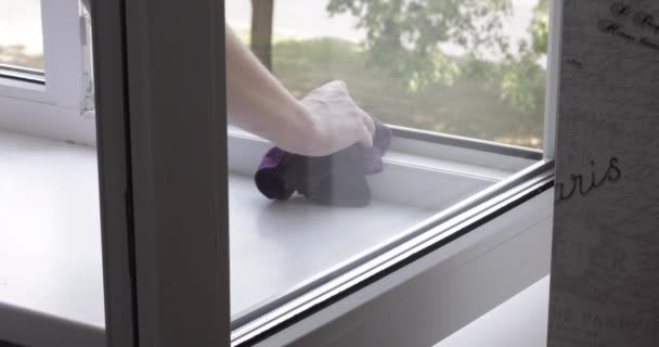 Professional worker cleaning house and washing window — Stock Video