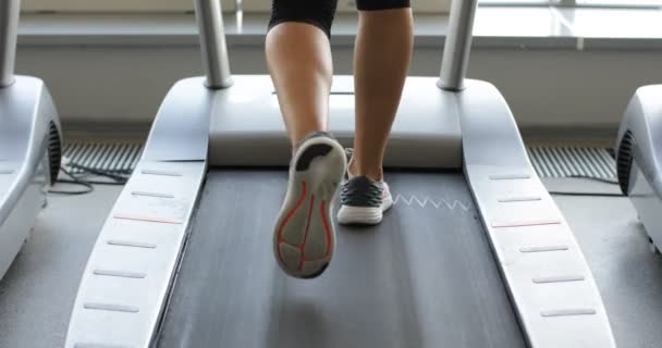 Vue arrière de la course de tir de l'entraînement féminin sportif à la salle de gym . — Video