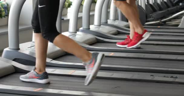 Vista posterior del rodaje de entrenamiento femenino deportivo en el gimnasio . — Vídeo de stock