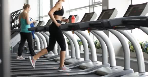 Vue arrière de la course de tir de l'entraînement féminin sportif à la salle de gym . — Video