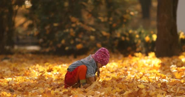 Sonbahar ormanında yaprakları ile oynayan sevimli küçük kız. — Stok video