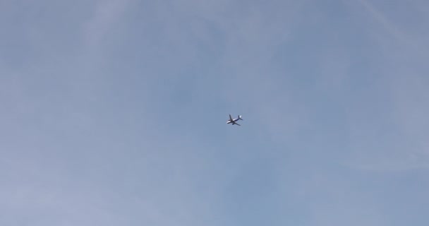 Transporte aéreo en vuelo rodeado de cielo azul claro en el día de verano tiro largo extremo — Vídeo de stock