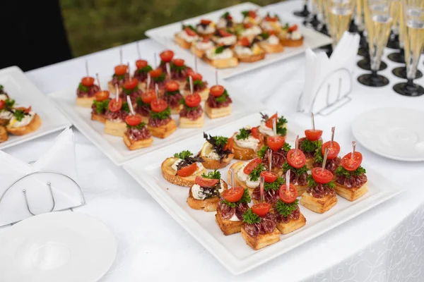Close-up big plate with serving snack canapes fried bread tomato parsley and salami — Stock Photo, Image