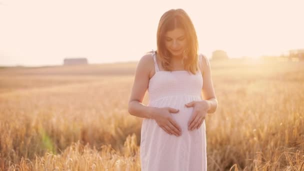 Femme enceinte méconnaissable tenant la main sur son ventre . — Video