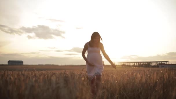 Zwangere brunette vrouw in witte jurk in het veld. — Stockvideo