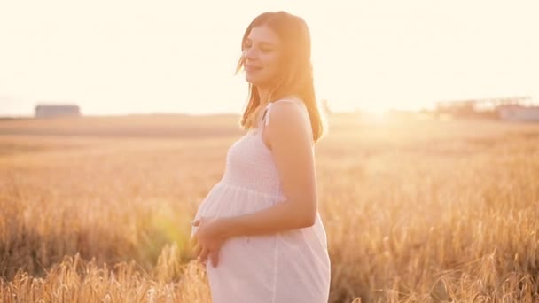 Красива вагітна жінка торкається її живота . — стокове відео