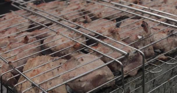Delicioso shish kebab en parrilla de acero inoxidable . — Vídeos de Stock