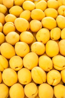 Piyasada taze kayısı manzarası var.