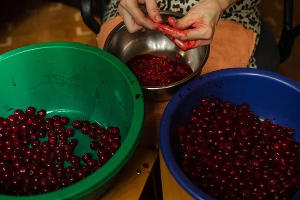 Женщина очищает вишни от семян перед приготовлением пищи — стоковое фото