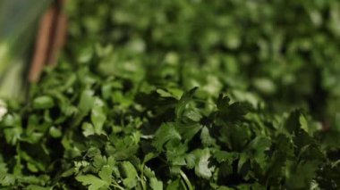 Bir sürü yeşillik kapat. Yararlı bitkiler, maydanoz, dereotu.