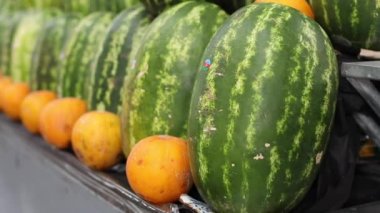 Büyük sulu yeşil karpuzların videosu tezgahın üzerinde duruyor, portakalların arasında.