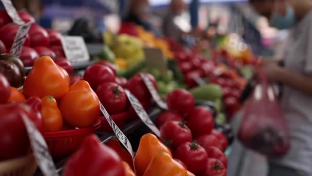 Close up vídeo vermelho tomates suculentos, pimentas amarelas doces estão no balcão em caixas no mercado — Vídeo de Stock