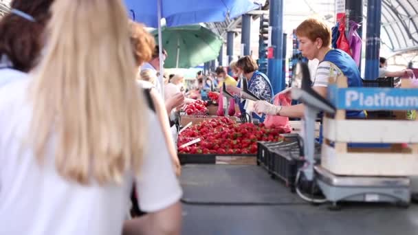 Μια μεγάλη ουρά στην αγορά στον πάγκο με κόκκινες φράουλες περιμένει τον πελάτη να πληρώσει και η πωλήτρια θα δώσει ρέστα — Αρχείο Βίντεο