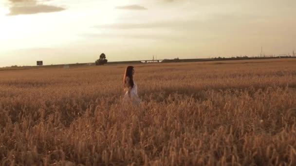 Mujer hermosa caminando a través de espigas de trigo. — Vídeos de Stock