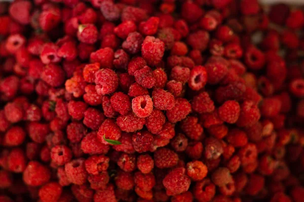 Stock photo of ripe raspberries. — Stock Photo, Image