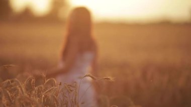 Güzel genç bir kadın günbatımında buğday tarlasında dönmekten zevk alıyor.