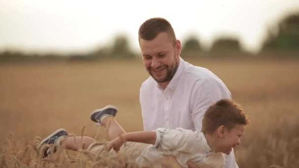 Far leker med sin son på vetefält. — Stockvideo