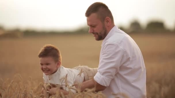 Pai brincando com seu filho no campo de trigo. — Vídeo de Stock