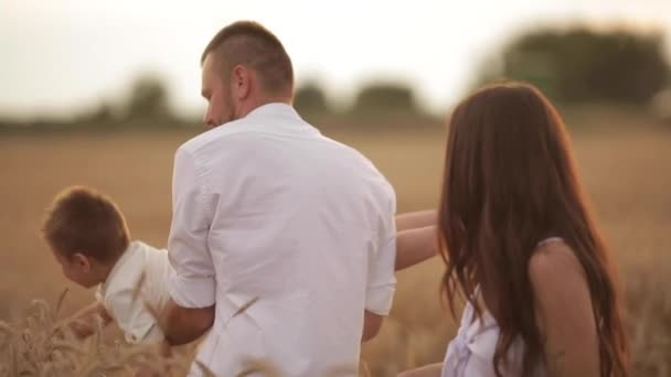 Padre jugando con su hijo en el campo de trigo. — Vídeo de stock