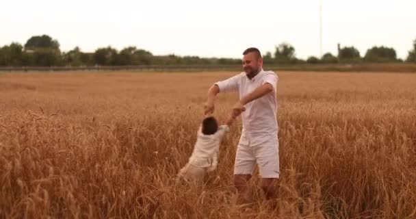 Szczęśliwy ojciec przekręca dziecko na łące. — Wideo stockowe