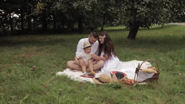 Mam, pap en hun jonge zoon picknicken in het park in de zomer — Stockvideo