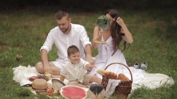 Família no piquenique no parque fazendo coisas diferentes. — Vídeo de Stock