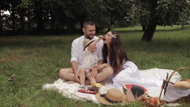 Son feeding his mother with cherry in park. — Stock Video