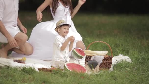 夏日带着男孩去野餐的可爱父母. — 图库视频影像