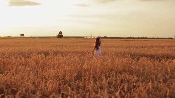 Vrolijke dame genieten van haar vrije tijd buiten — Stockvideo