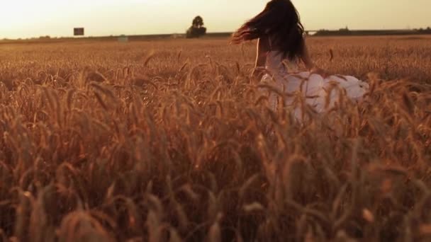 Hermosa joven mujer disfruta de la vida caminando en un campo de trigo al atardecer — Vídeos de Stock