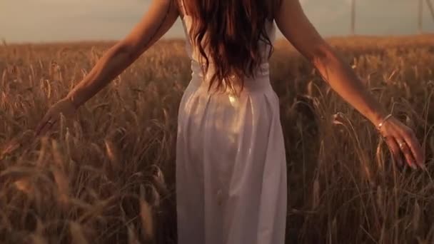 Стройная женщина, идущая одна через залитые солнцем поля — стоковое видео