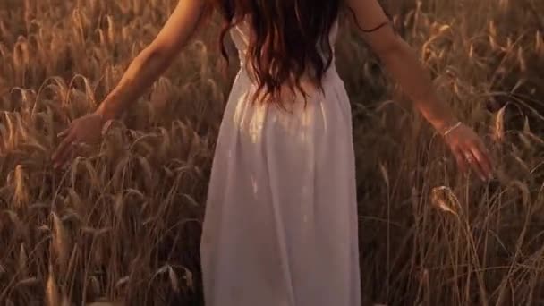 Стройная женщина, идущая одна через залитые солнцем поля — стоковое видео