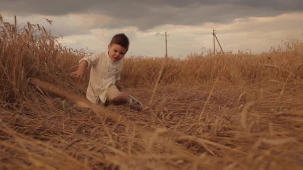Un niño pequeño y hermoso corre por el campo y disfruta de la vida — Vídeos de Stock