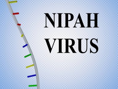 Nipah virüs komut dosyası üzerinde mavi degrade izole tek helix ile 3D çizimi.
