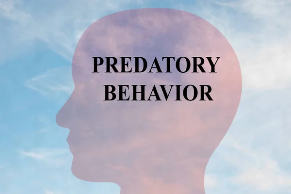 Render Illustrazione Predatory Behavior Titolo Sulla Silhouette Della Testa Con — Foto Stock
