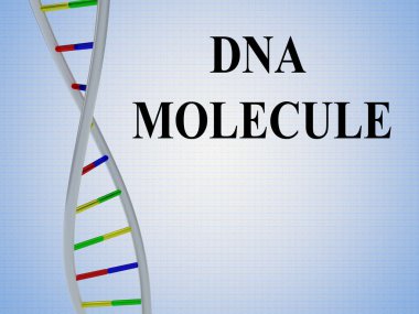 Dna molekülünün komut soluk blueb degrade izole çift sarmal modeli ile 3D çizimi.