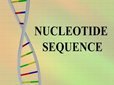 3D illustration of NUCLEOTIDE SEQUENCE script with DNA double helix, isolated on colored background. clipart