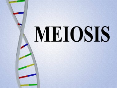 Mayoz komut dosyası üzerinde soluk mavi degrade izole Dna çift sarmalı ile 3D çizimi.