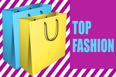 Top moda komut dosyası ile birlikte iki shpping çanta ile 3D çizimi
