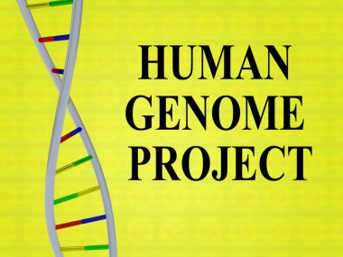 3D illustration of HUMAN GENOME PROJECT script with DNA double helix , isolated on colored background. clipart