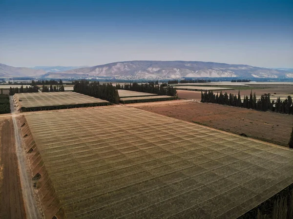 Aerial View Banana Groves Northern Israel Kibbutz Afikim Use Advanced — Stock Photo, Image