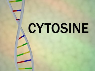 Dna çift sarmalı, renkli arka plan üzerinde izole sitozin script 3D çizimi.