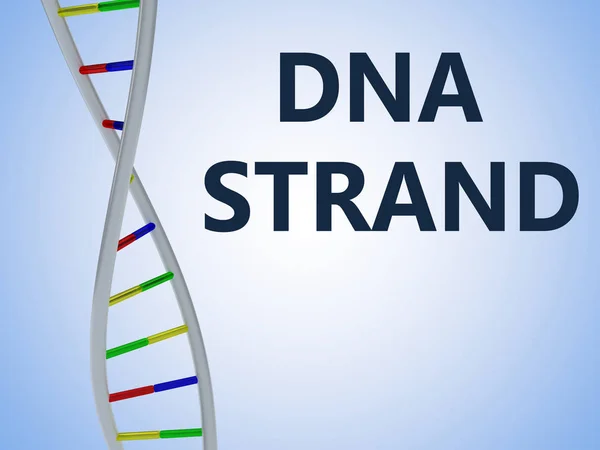 3D illustration of DNA STRAND script with DNA double helix , isolated on colored gradient.