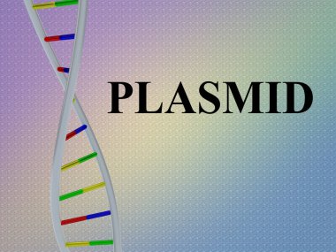 Plazmid komut dosyası ile Dna çift sarmalı, renkli desen izole 3D çizimi.